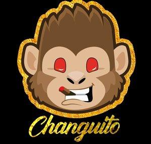 Yayixd Changuito 🐵