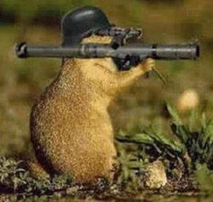 Andy Prairie Dog