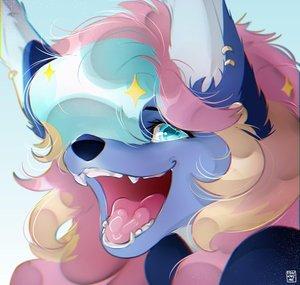 Biscuitfox