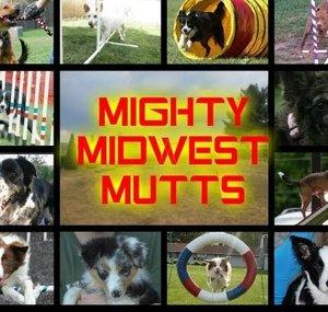 MightyMidwestMutts