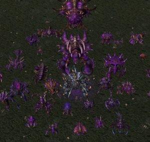 Rash and Friends