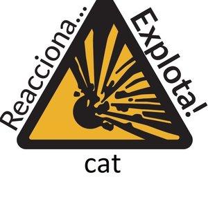 Reacciona Explota | Cat