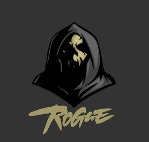 Rogue Gaming