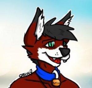 SamsonTheCatFox