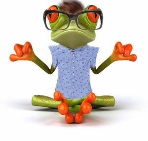 The Gnarly Frog