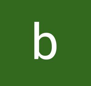 bas2511