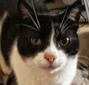 charlie oscar