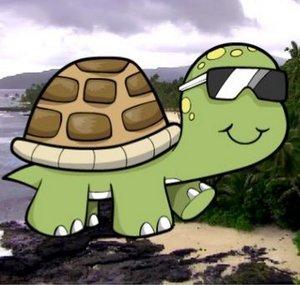 Eager Tortoise