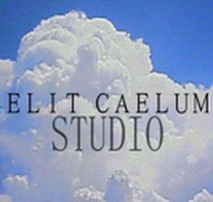 ElitCaelumStudios