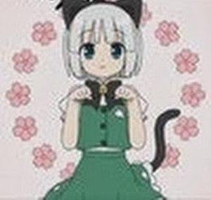 OlinLabcat