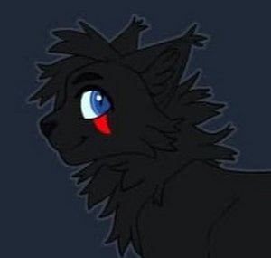 ScourgeRaven