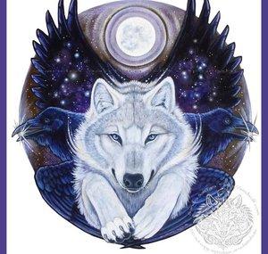 THESTORMWOLF9