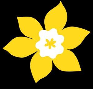 Canadian Cancer Society