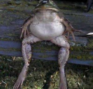 FROGMAN