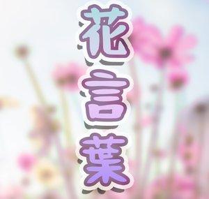 HANAKOTOBA✿