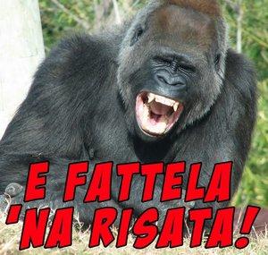 Italian comedians - Best videos