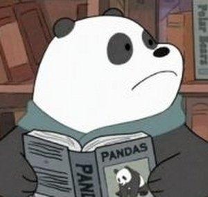 PepiPanda1