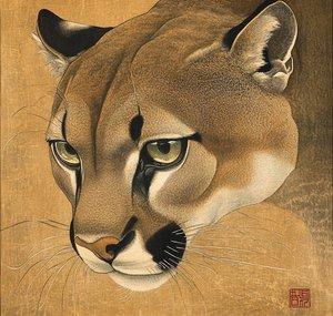 straypuma