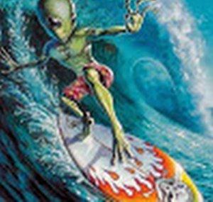 SURFANDOLACRESTA