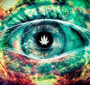 ~ TZRT ~