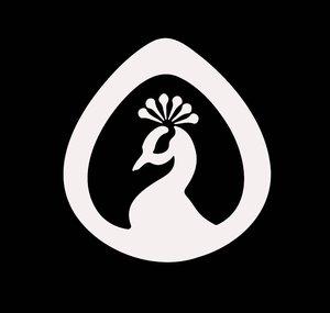 a paradise bird