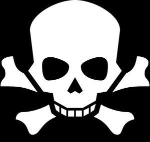 bonafidepirate