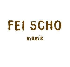 FeiSchoVideos