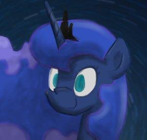 Pinna The Pone