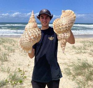 Shellcade Shelling Down Under