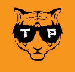 TrigerPro - Epic Covers