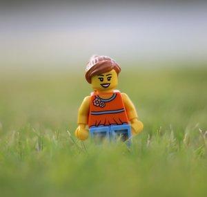Beatrice Bricks (B's Bricks)