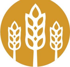 City Harvest Network