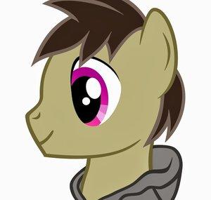 FakePonyRu