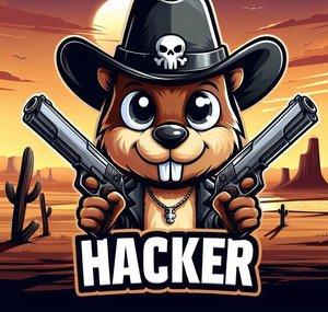 Hacker's Gaming