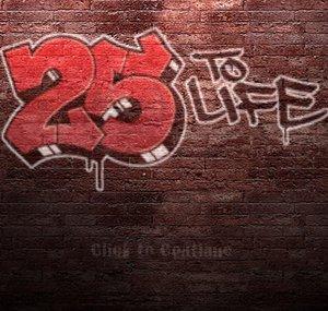 NYC TWENTYFIVETOLIFE