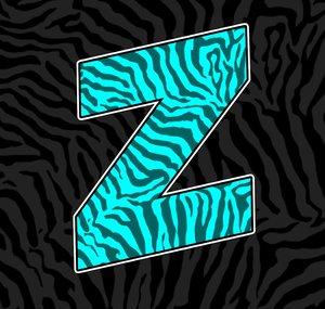 TheFlamingZebra2