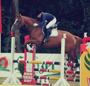 TheLillyPony