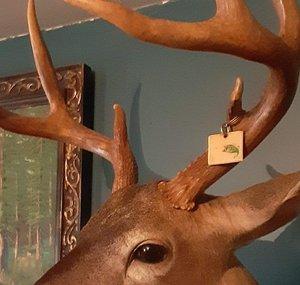 Alabama Outdoors44