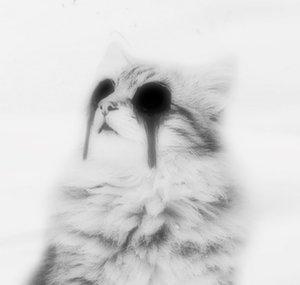 catatonikC4T
