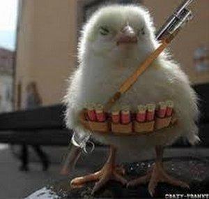 ChickenOfDeathh