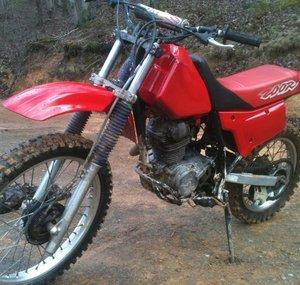 Honda rider