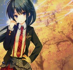 KiiroSakuraStudio