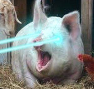 LazerPig