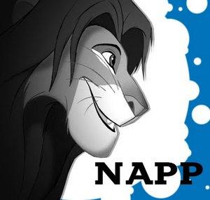 Napp