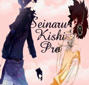 SeinaruKishiPro