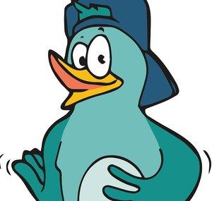 Singvögel