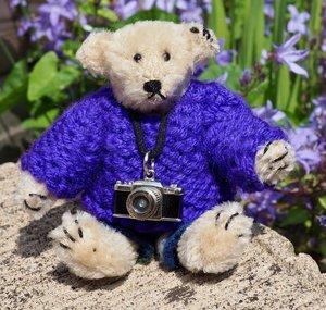 Teddy Wanderer