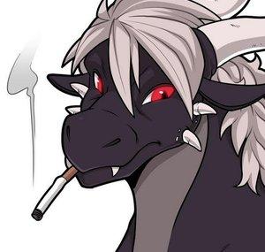 TheDropOutDragon