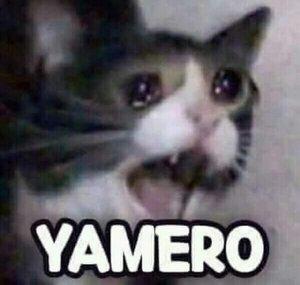 yamerrro