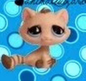 animalwizard1
